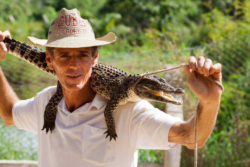 03-At the crocodile farm, a young crocodile.jpg - At the crocodile farm, a young crocodile